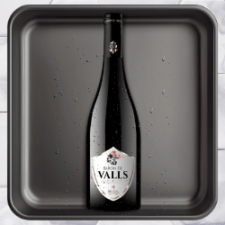 Baron D Valls image 1